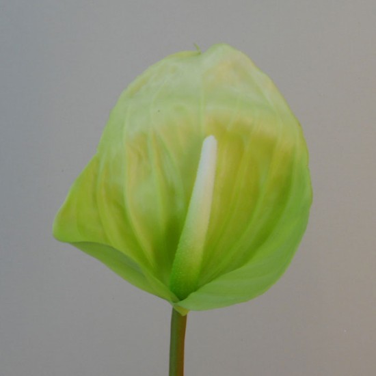 Real Touch Artificial Anthurium Lime Green 74cm Artificial Flowers